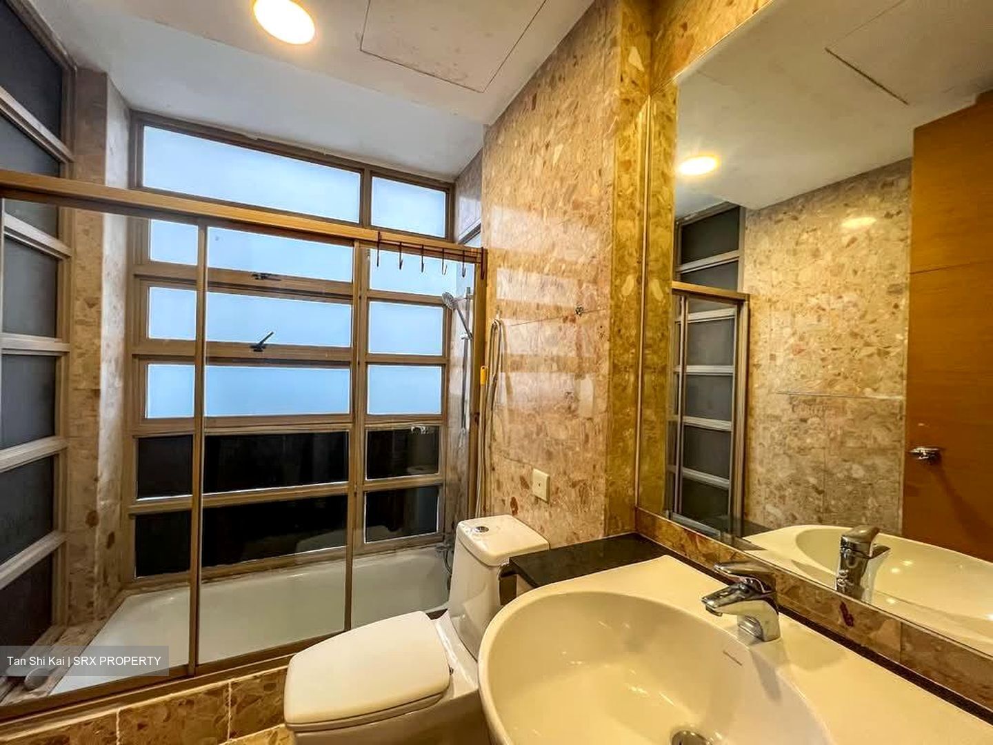 Sunville (D12), Apartment #550994721